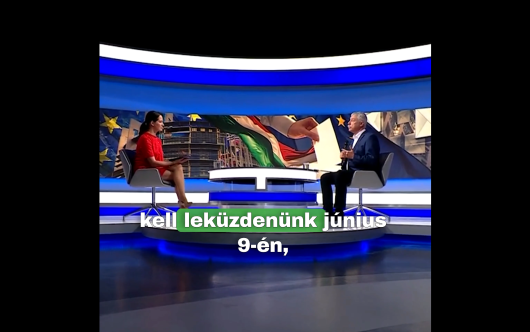 Két dolgot kell legyőznünk június 9-én: a közönyt és a magyarok ellenségét, az AUR-t